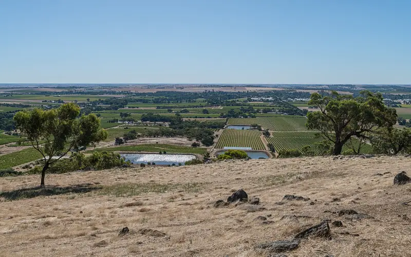 Barossa Valley hop-on hop-off wine tour from Adelaide