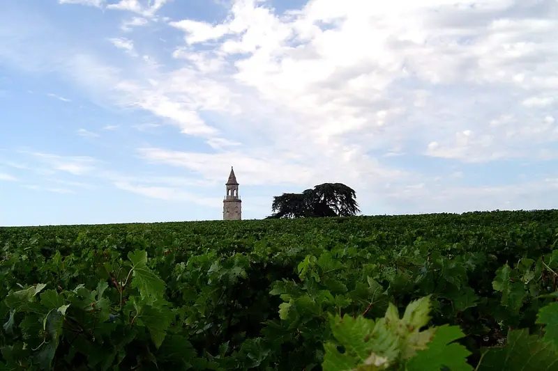 Medoc afternoon wine tour from Bordeaux