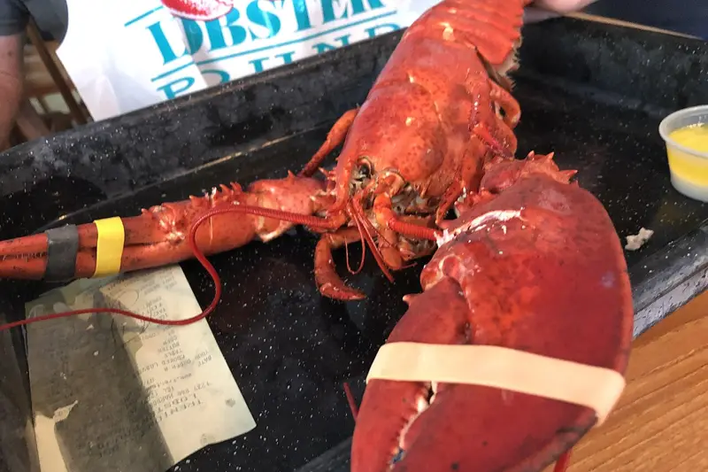 Lobster