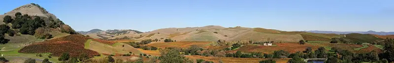 Napa Valley & Sonoma full-day wine tour from San Francisco